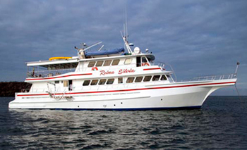 Reina Silvia